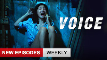 Voice