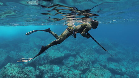 Watch Spearfishing the Big Island. Episode 2 of Season 12.