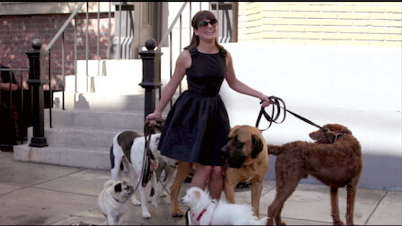 Watch Old Dog, New Tricks. Episode 19 of Season 5.