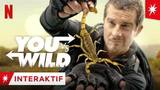 You vs. Wild