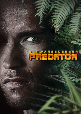 Predator