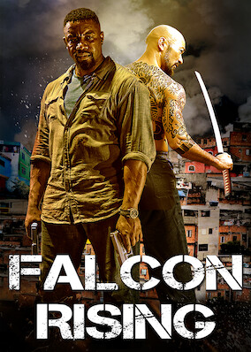 Falcon Rising