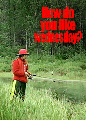 How do you like wednesday?